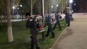 Масаларға қарсы дезинсекциялық жұмыстың үшінші кезеңі басталды