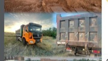 Полиция топырақ ұрламақ болған төрт арнайы техниканы тоқтатты