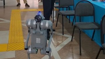 Робот-ит, фотокабиналар және 3D-ойын: Астана учаскелеріндегі түрлі іс-шаралар