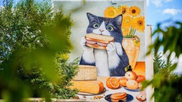 Байқоңыр ауданында мысықтың бейнесі бар мурал пайда болды