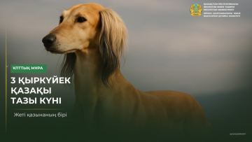 3 қыркүйек – қазақ тазысы күні