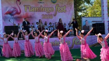 Ақмола облысында Flamingo Fest фестивалі басталды