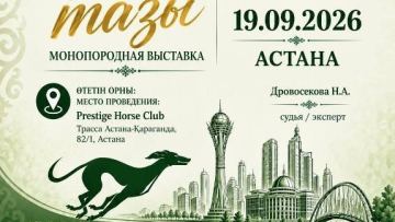 «Қазақы тазы» моно тұқымдық көрмесі өтеді