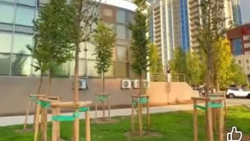 Алматы ауданында жаңа қоғамдық кеңістік ашылды