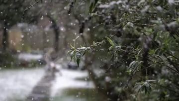 Бүгін ауа райы қандай болады?