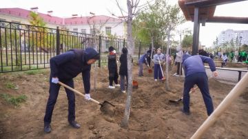 Жаңадан абаттандырылған саябаққа 250 ағаш отырғызылды