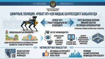 Астанада “Робот ит” қоғамдық қауіпсіздікті бақылауда