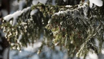 6–8 қазанда еліміздің басым бөлігінде ауа райы тұрақсыз болады