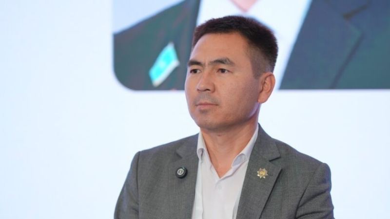 Өңірлік сайлаушының талғамы әркелкі: сарапшы партиялық науқандардың жаңа логикасы туралы