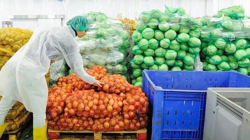 Қазақстан экспорты қарқын алды: жарты жылда экспорт көлемі $40 млрд-тан асты