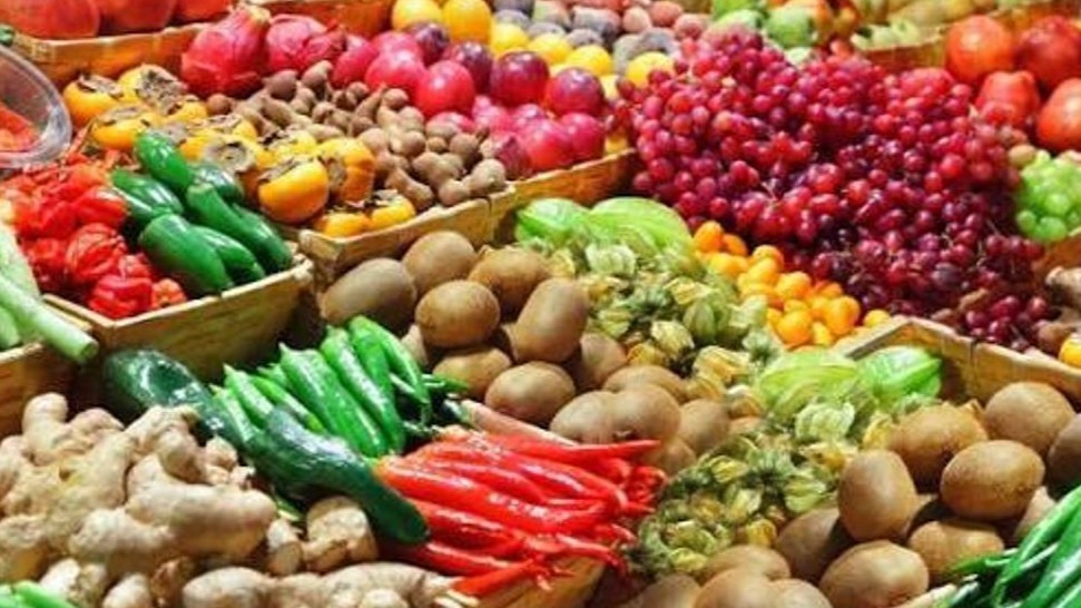 Түркістан және БҚО ауыл шаруашылығы жәрмеңкесі өтеді