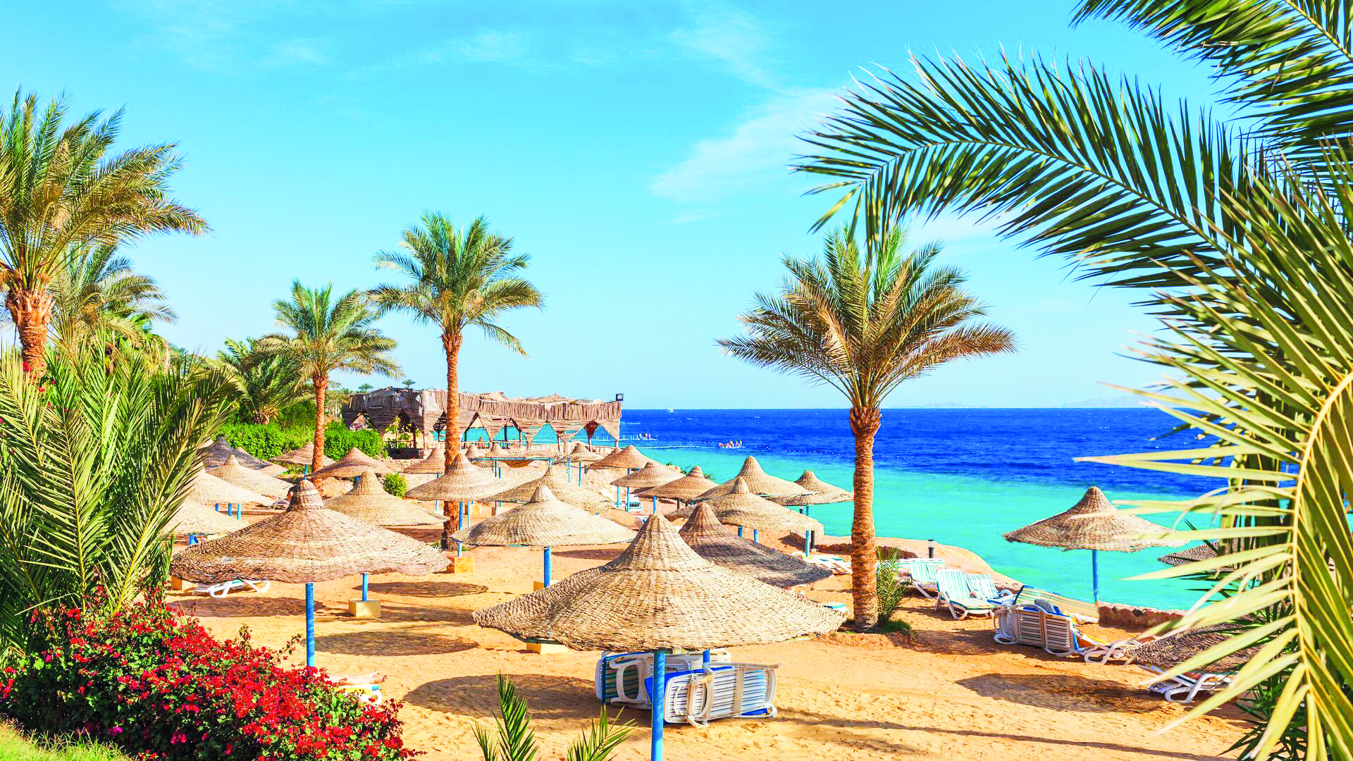 Үстемдігі бар куннилингус порно