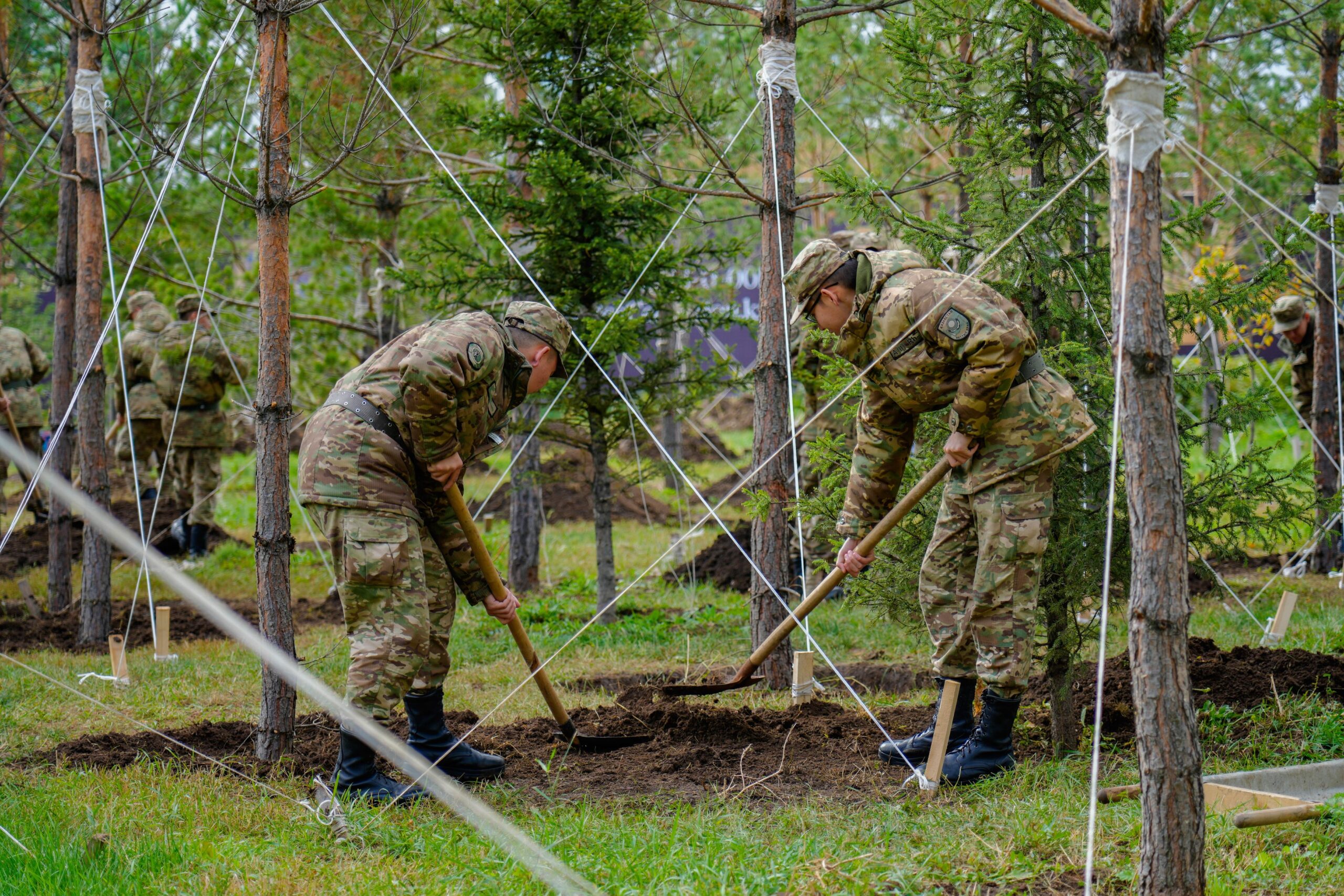 Полимер балшықтан жасалған раушан сырғалар
