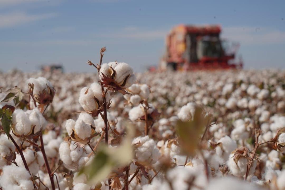 Любовь Тихомирова Масленица онлайн порно фильмінде